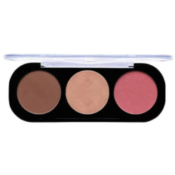 Dali Cosmetics Trio Blsuh Palette Bronzer, Highlighter And Blush.