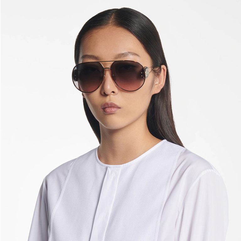 Christian Dior Bobby A1U SUNGLASSES