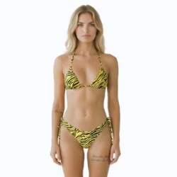 Pattern Triangle Brazilian Bikini