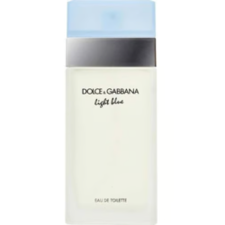 Dolce & Gabbana, Ladies Light Blue Tester Edt, 100Ml