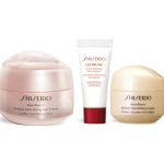 SHISEIDO BNF WRINKLE SMOOTHING EYE SET