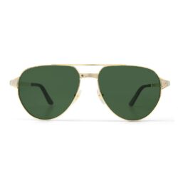 Cartier Signature CT0425S SUN Gold - Green Sunglasses