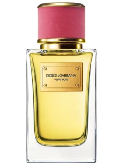 Dolce & Gabbana Velvet Rose 100 ML