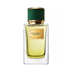 Dolce & Gabbana Velvet Vetiver 100 ML