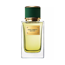 Dolce & Gabbana Velvet Vetiver 100 ML