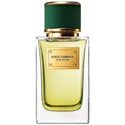 Dolce & Gabbana Velvet Vetiver 100 ML