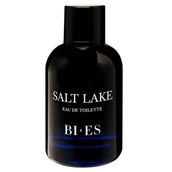 Bi Es Salt Lake Homme EDT 100ML