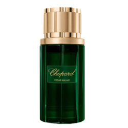 Chopard Malaki Cedar EDP 80ML