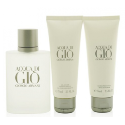 Giorgio Armani Acqua Di Gio Homme Coffret EDT 100ML As Shower Gel 75ML