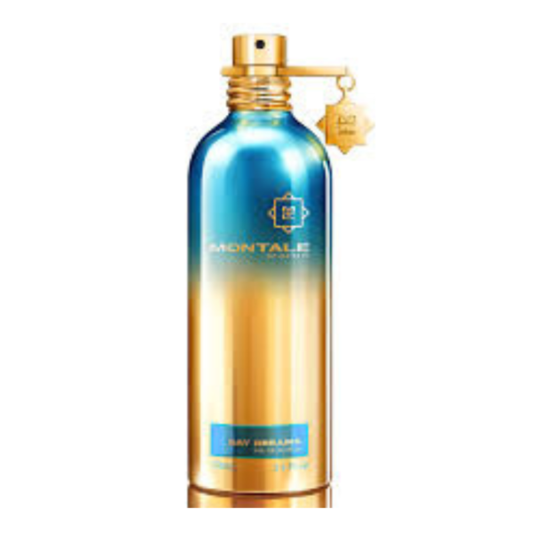 Montale Day Dreams EDP 100ML