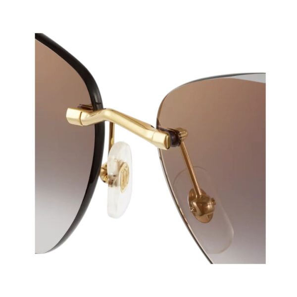 Panthere de Cartier sunglasses Clockwise