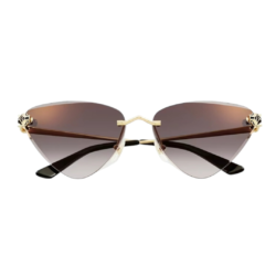 Panthere de Cartier sunglasses Clockwise (3)