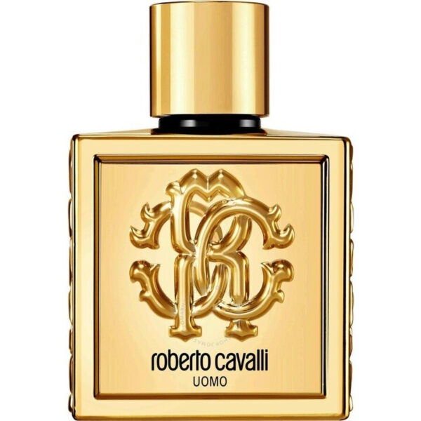 Mengotti Couture® Tester Roberto Cavalli Uomo 100ML