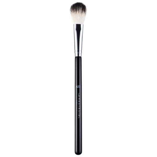 TRENDY EYE SET BRUSHES A23