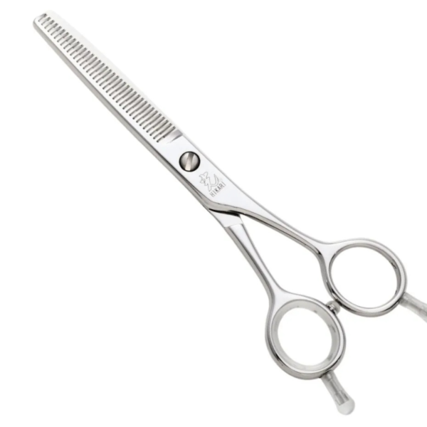 TRENDY SCISSORS (2) #1047