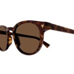 Bottega Veneta BV1253S Havana Panthos Sunglasses