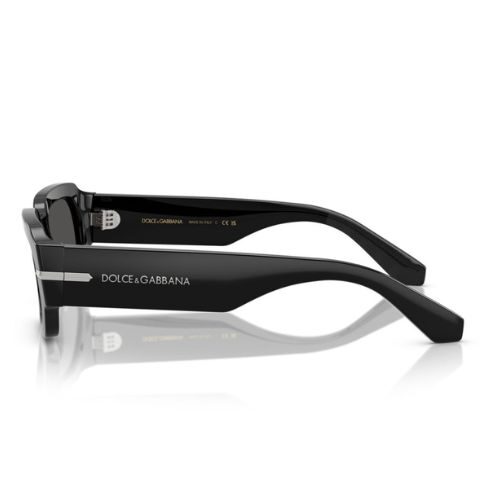DOLCE & GABBANA Sunglasses DG 4485 Black
