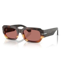 DOLCE & GABBANA Sunglasses DG4482 Havana Gradient Frame