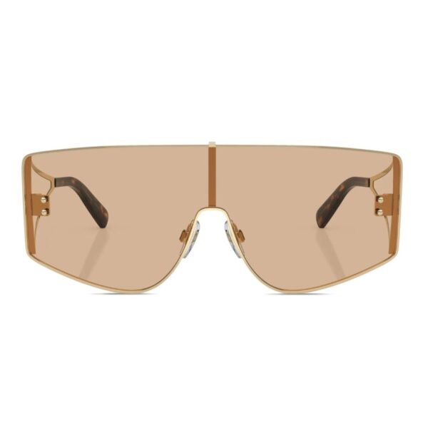 Dolce & Gabbana DG2305 13655A Light GoldPink Shield Sunglasses