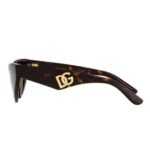 Dolce & Gabbana Sunglasses DG 4439 Havana Cat Eye Eyewear
