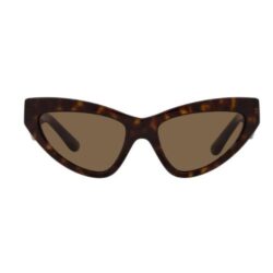 Dolce & Gabbana Sunglasses DG 4439 Havana Cat Eye Eyewear