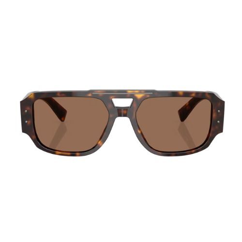 DOLCE & GABBANA DG4482 Havana Brown Sunglasses