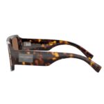 DOLCE & GABBANA DG4482 Havana Brown Sunglasses