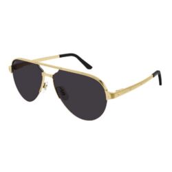 Cartier CT0386S Sunglasses