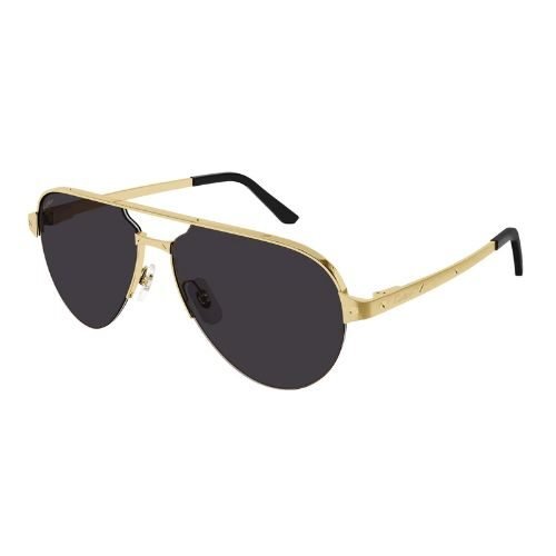 Cartier CT0386S Sunglasses