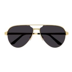 Cartier CT0386S Sunglasses