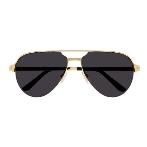 Cartier CT0386S Sunglasses