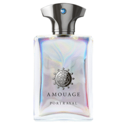 Amouage Portrayal Man EDP 100 ML