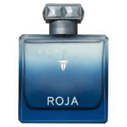 Roja Elysium Pour Homme Eau Intense 100 ML