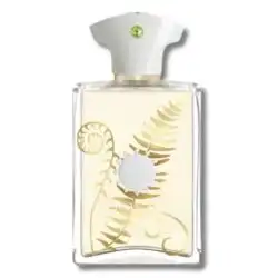 Bracken Man Amouage for men Tester 100 ML