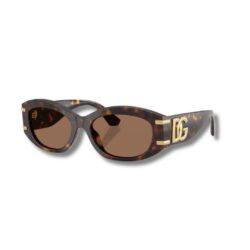 Dolce & Gabbana Sunglasses DG4502 (50273)