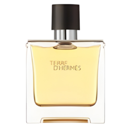 Terre-DHermes-Edt-75-ML-for-him.