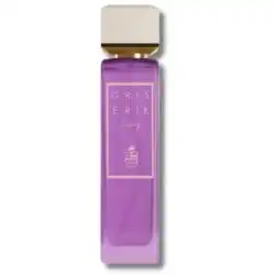 Assaf Gris Erik Eau de Parfum 100ml