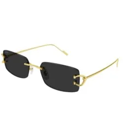 Cartier Signature C CT0605S 001 Gold Rectangle Sunglasses