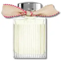Chloe Lumineuse Roses Women Edp 100ml For Her