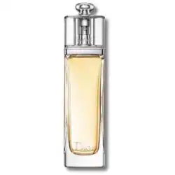 Dior Addict Edt 100ml For Her