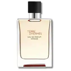 Hermes Terre D Hermes Eau De Parfum Intense 100ml For Him