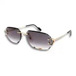 Cartier Signature C CT0605S 001 Gold Rectangle Sunglasses