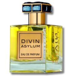 Divin Asylum